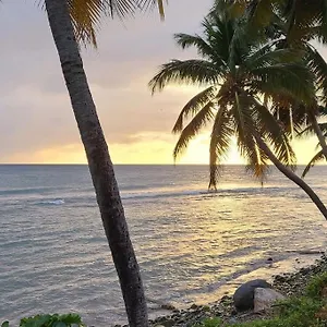 Seaside Serenity Humacao